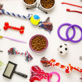 Pet Accessories and Toys